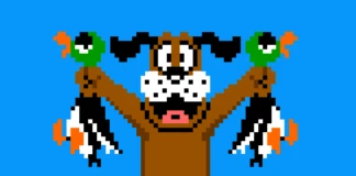 duck hunt banner