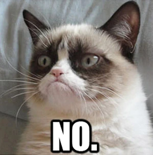 grumpy cat no