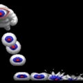 Toki - Rambacha