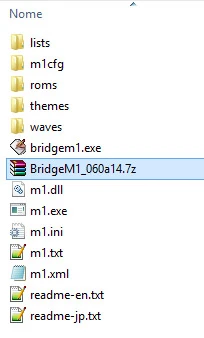 Pasta do M1 com bridgem1