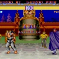 bison_pce