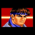 final_mega