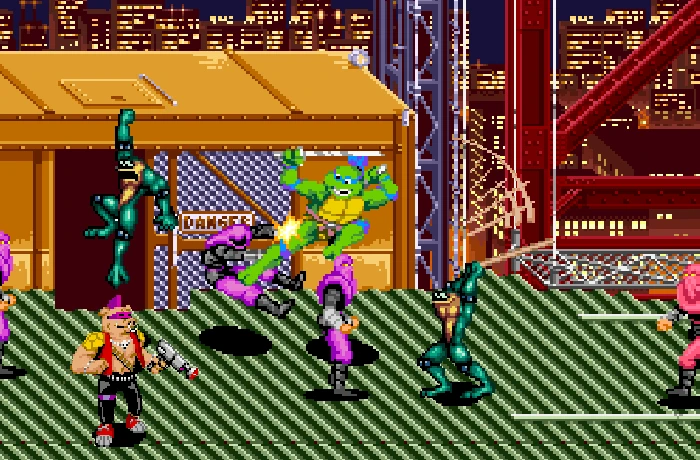mashup_turtles_toads