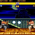 ryu_mega