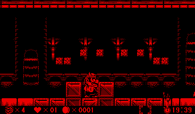 wario-land