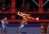Biografia: Blaze Fielding (Streets of Rage)