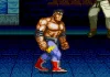 Biografia: Max Thunder (Streets of Rage)
