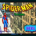 Spider-Man The Video Game