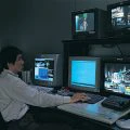 Nomura e Hashimoto