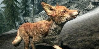 skyrim raposas