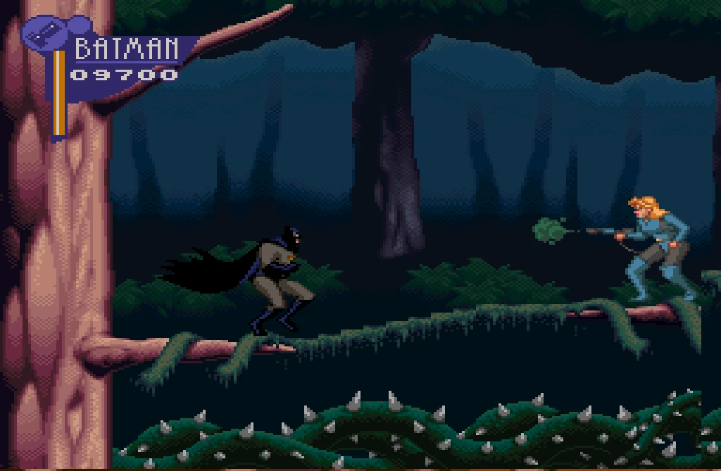 the adventures of batman robin snes