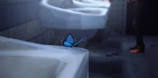 life is strange borboleta banheiro